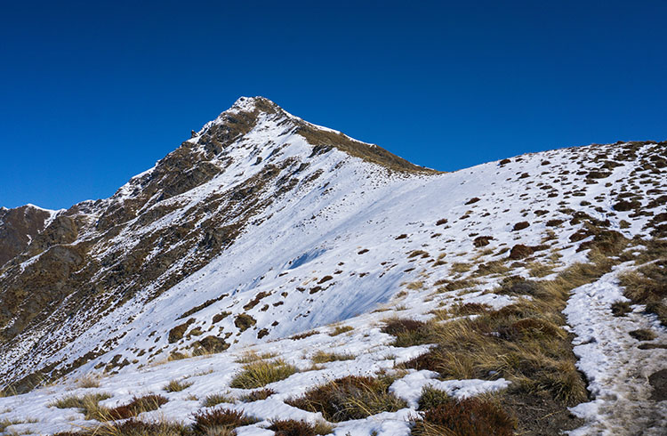 Ben Lomond Track