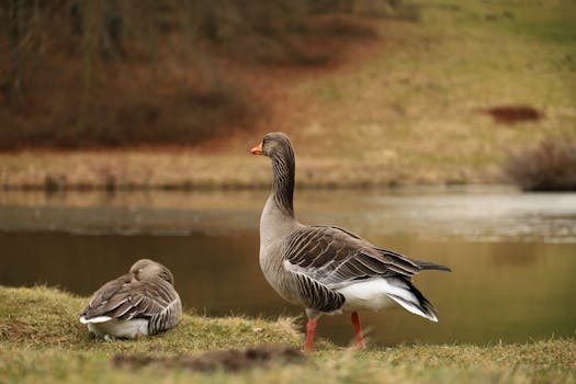 Bergpark Wilhelmshöhe