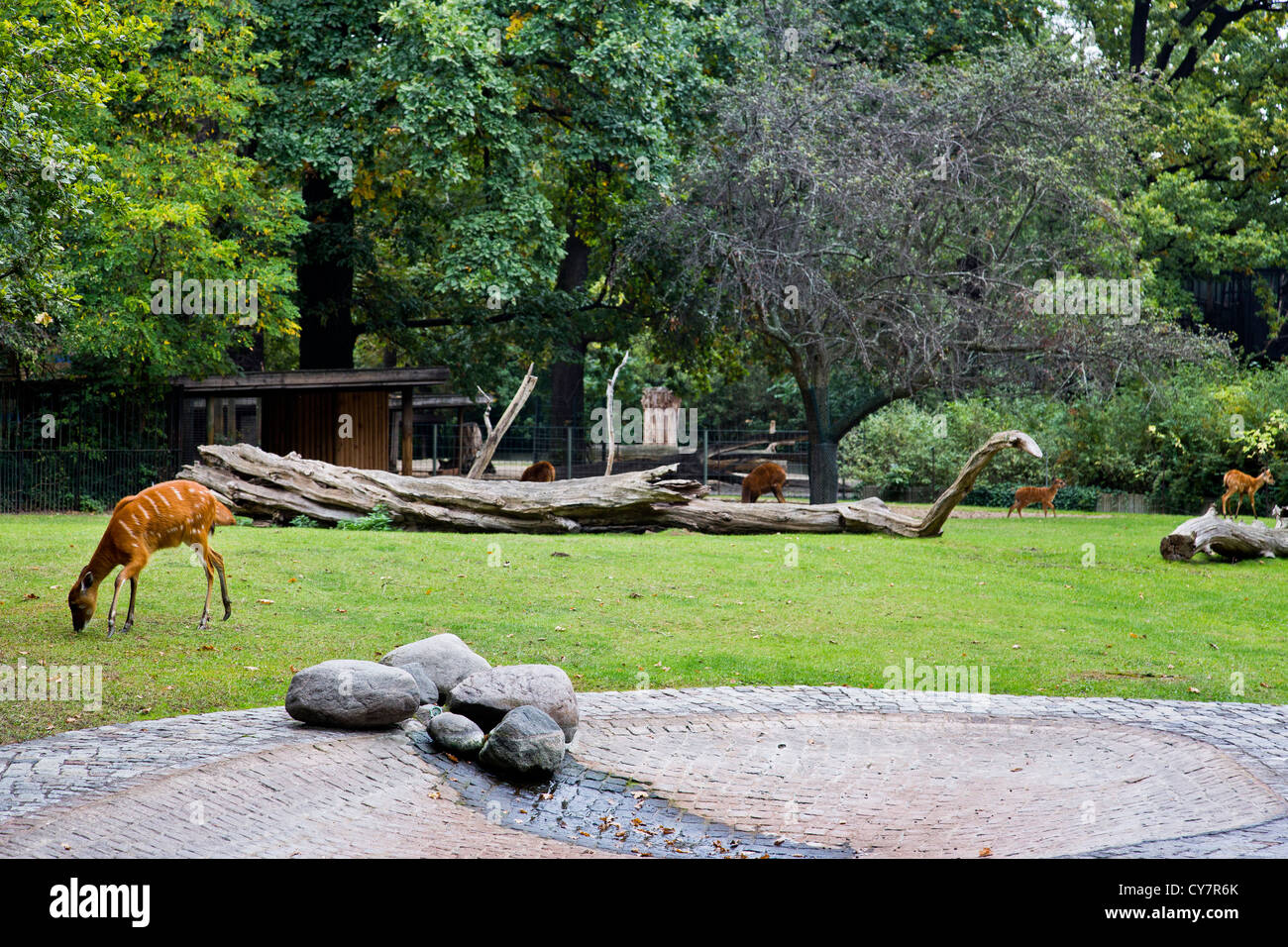 Berlin Zoological Garden