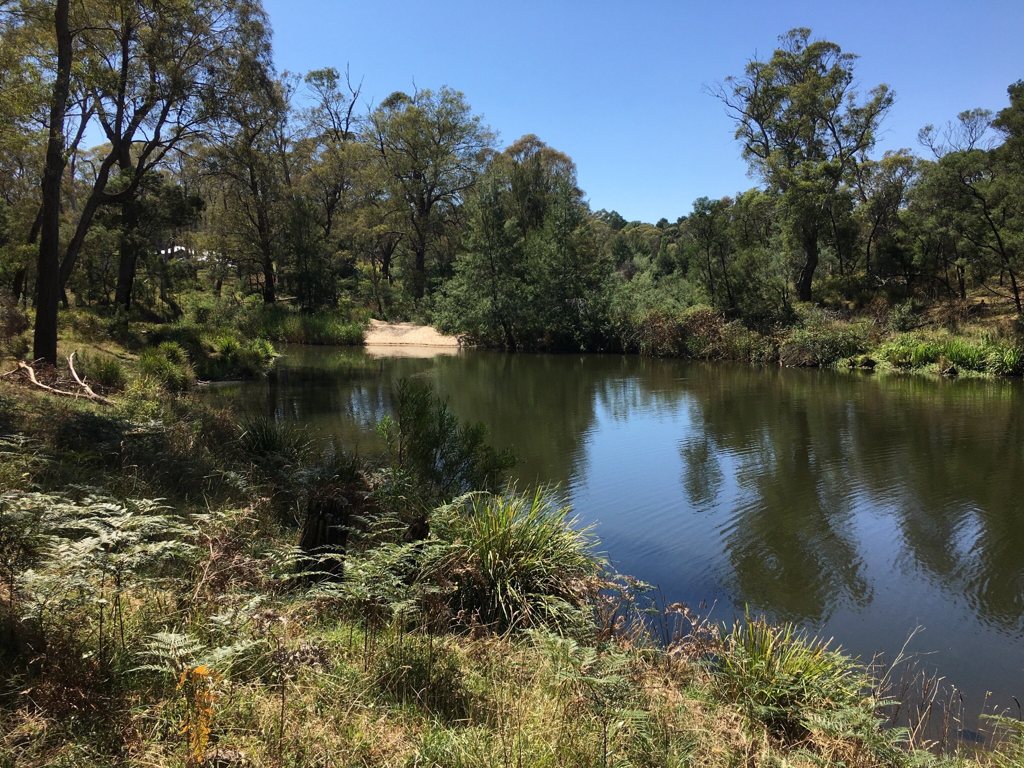 Berrima River Walk