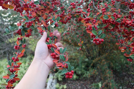 Berry Museum