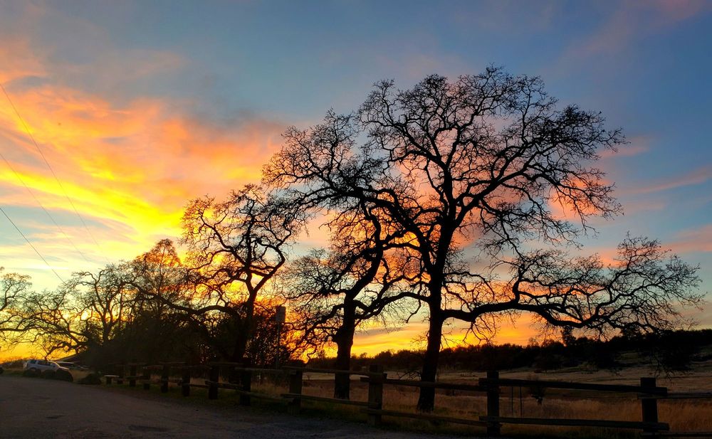 Bidwell Park