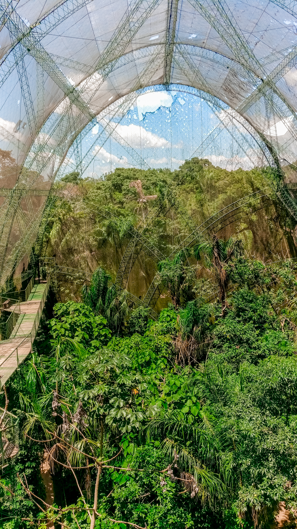 Biocentro Guembe Mariposario