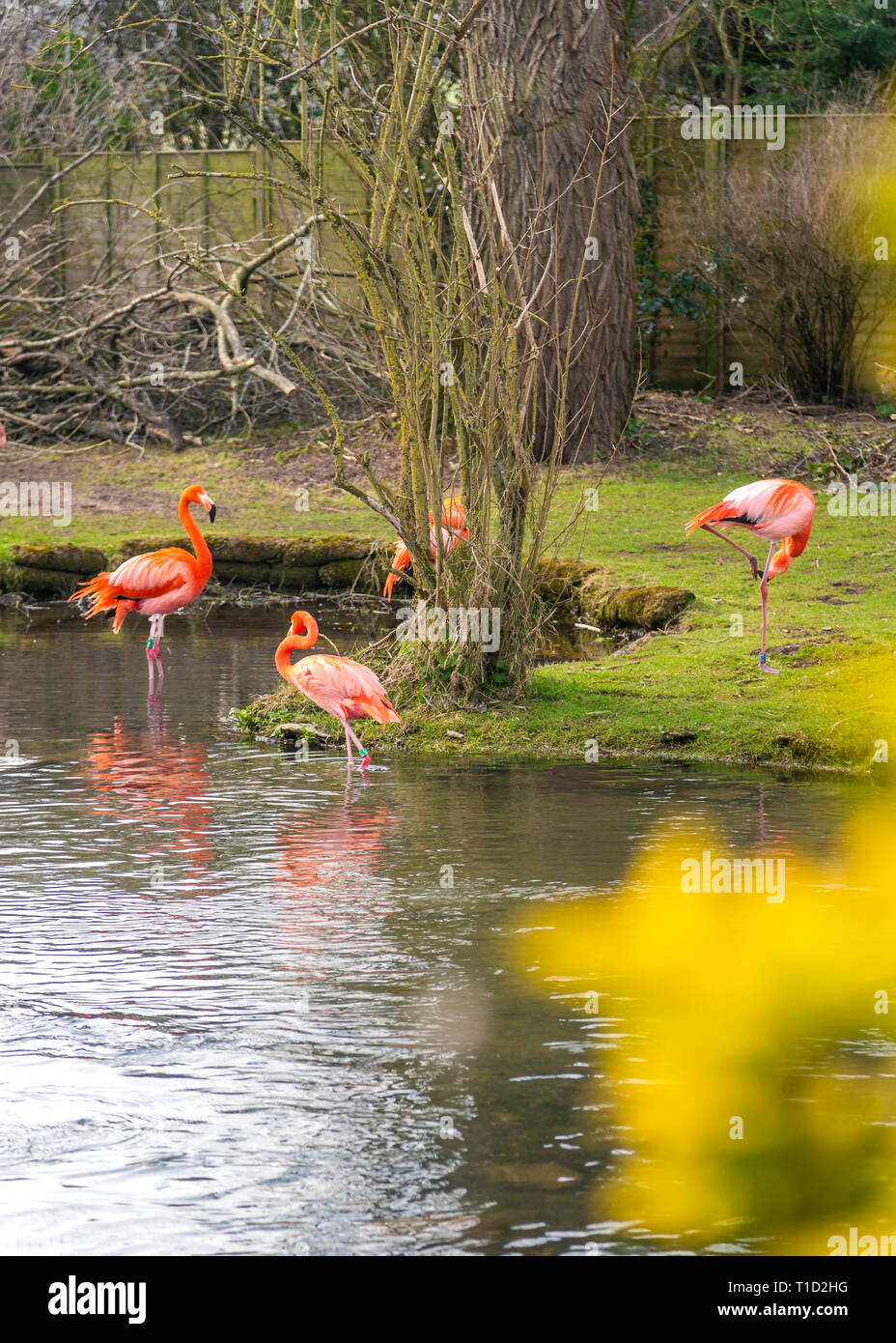 Birdland Park and Gardens