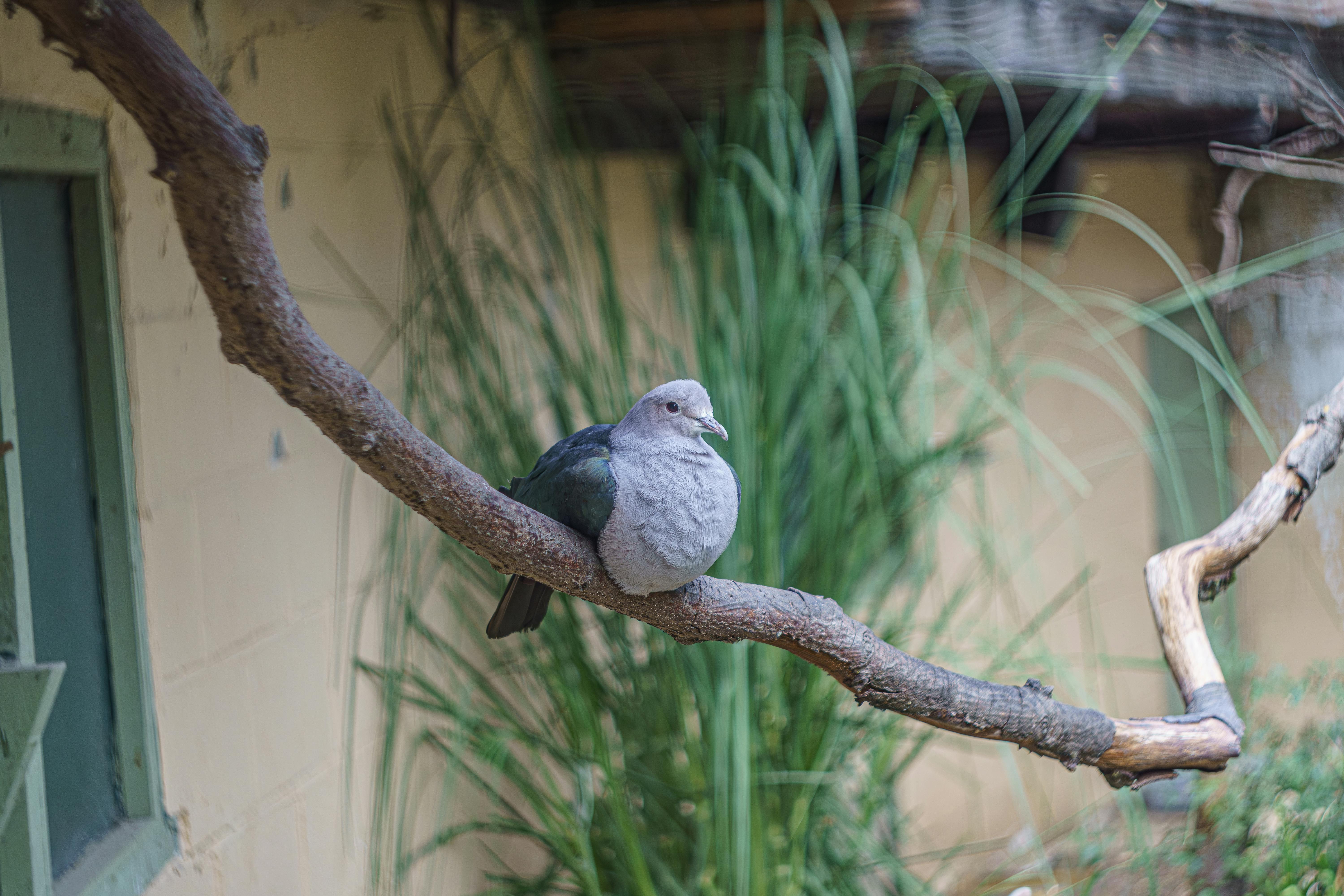 Birdland Park and Gardens