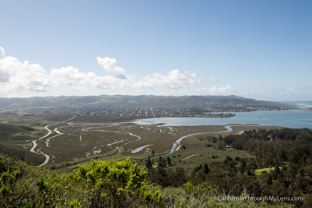 Black Hill Trail