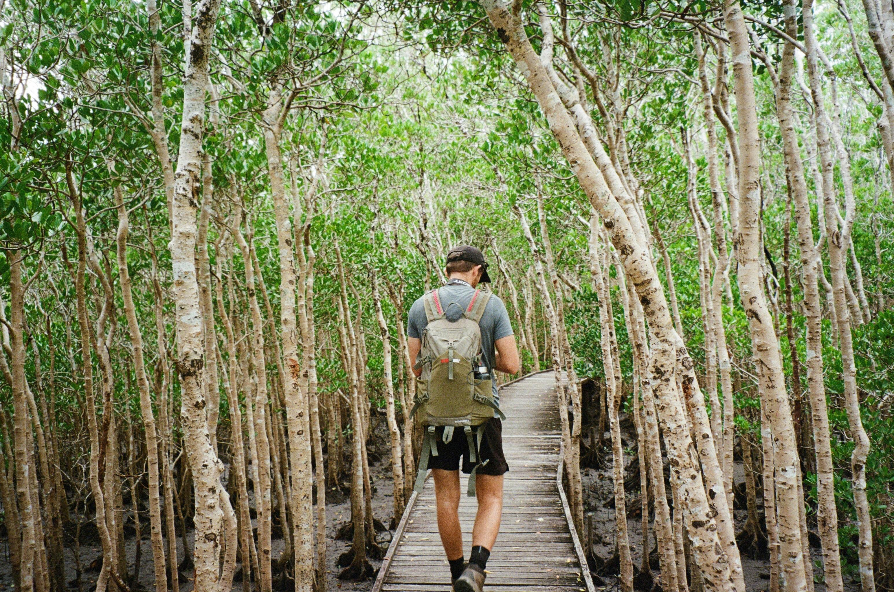 Blackbutt Reserve