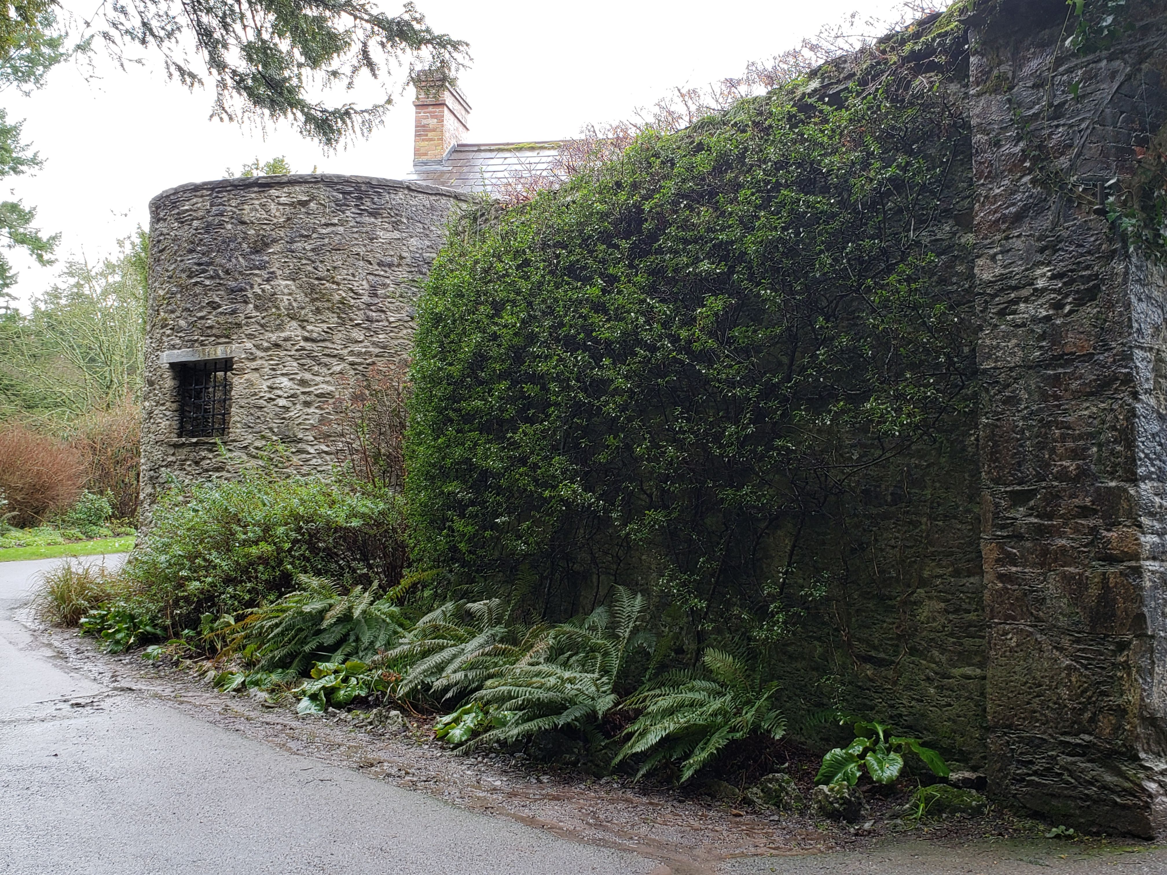 Blarney Castle