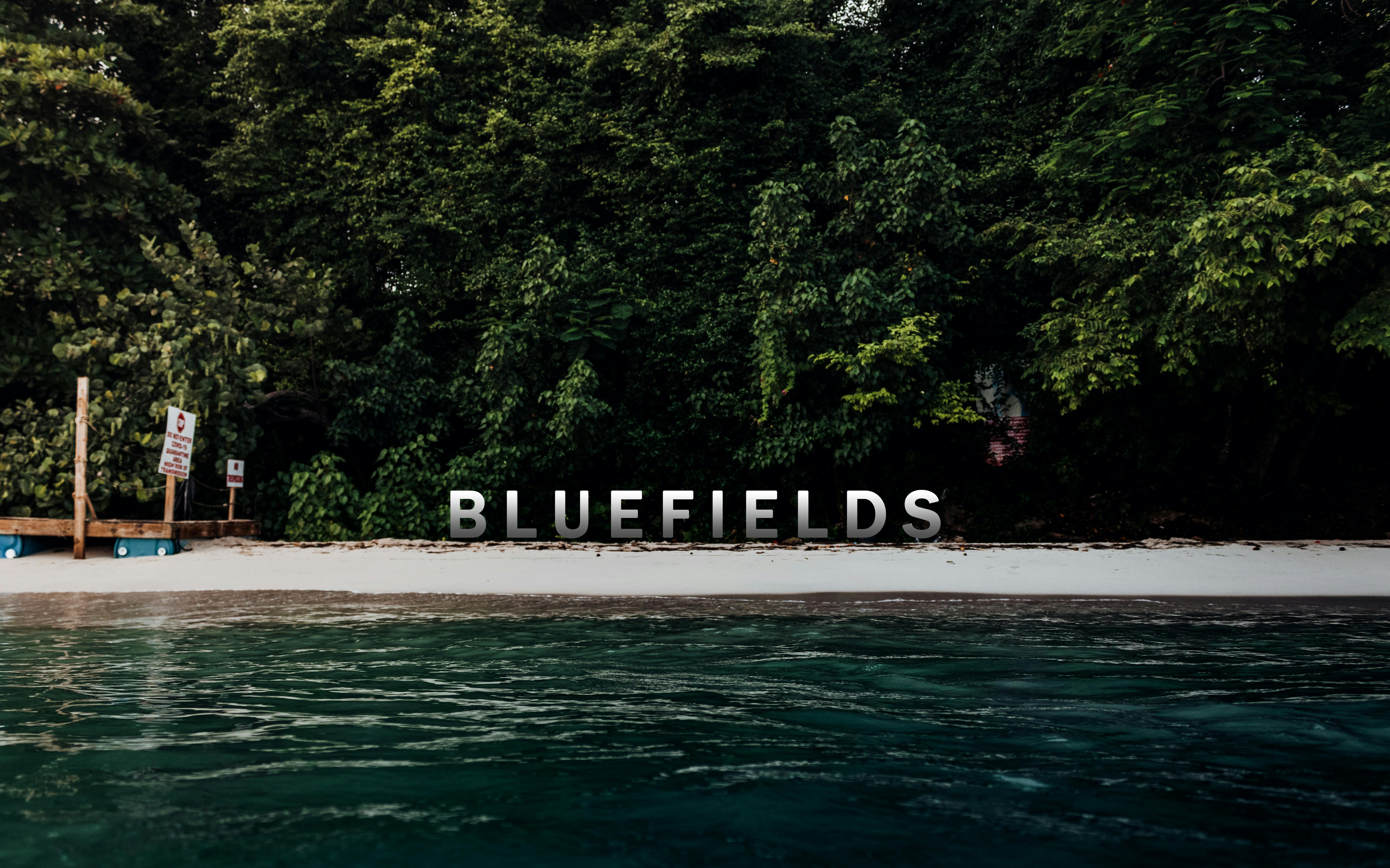 Bluefields Bay Fish Sanctuary