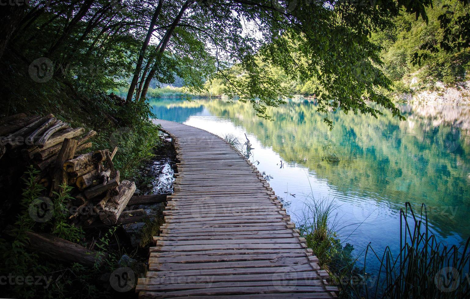 Boardwalks through the park