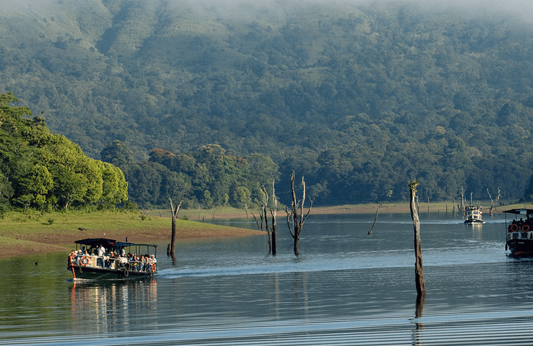 Boat Safari on Periyar Lake