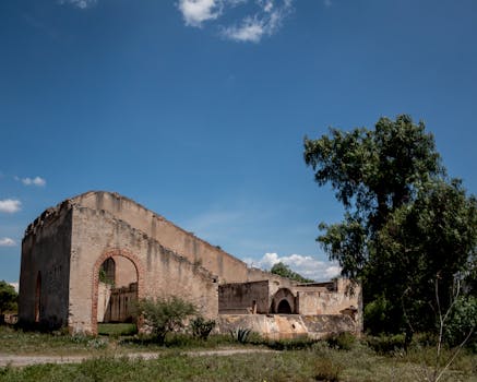 Boca Mina School