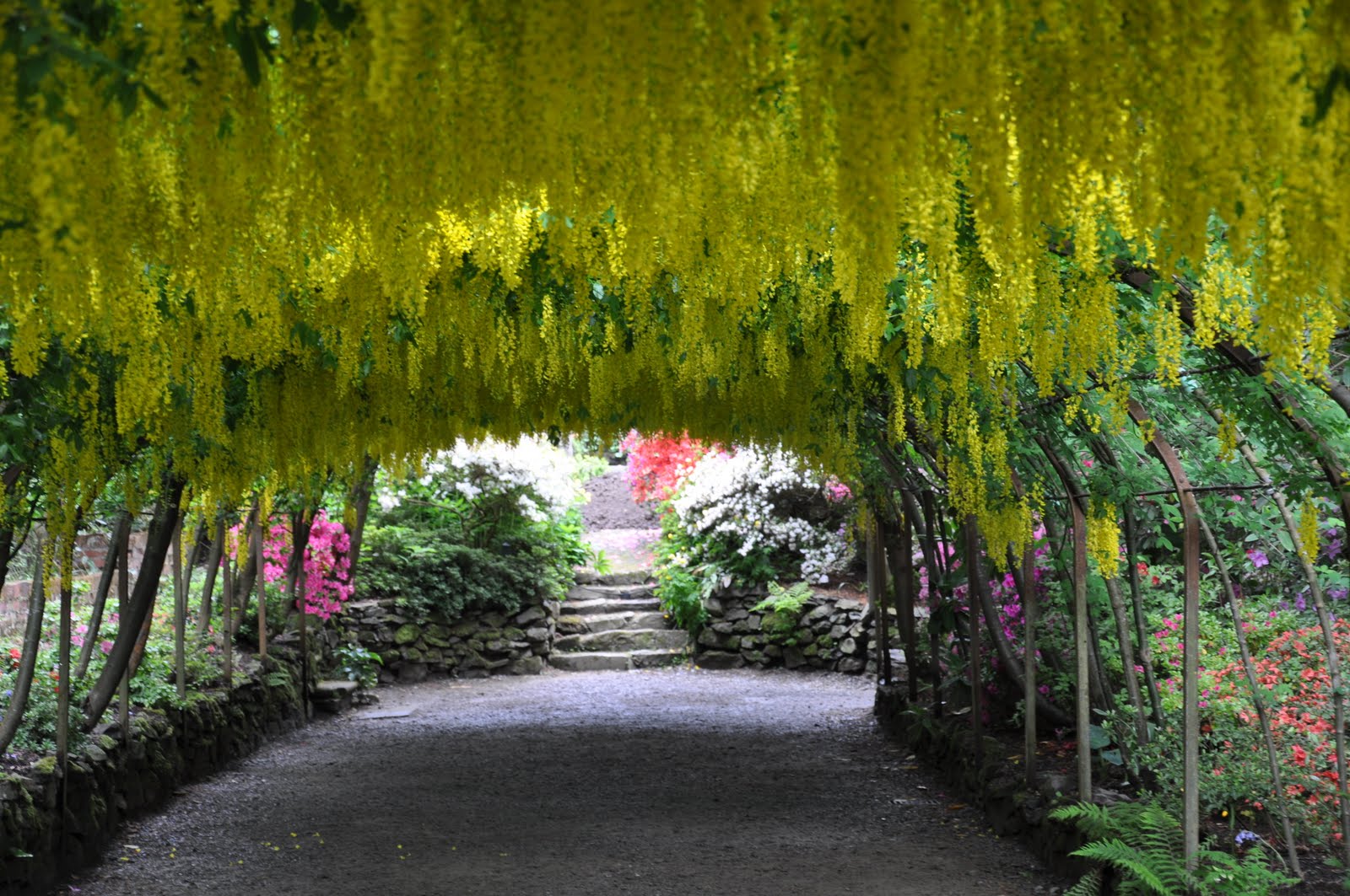 Bodnant Garden