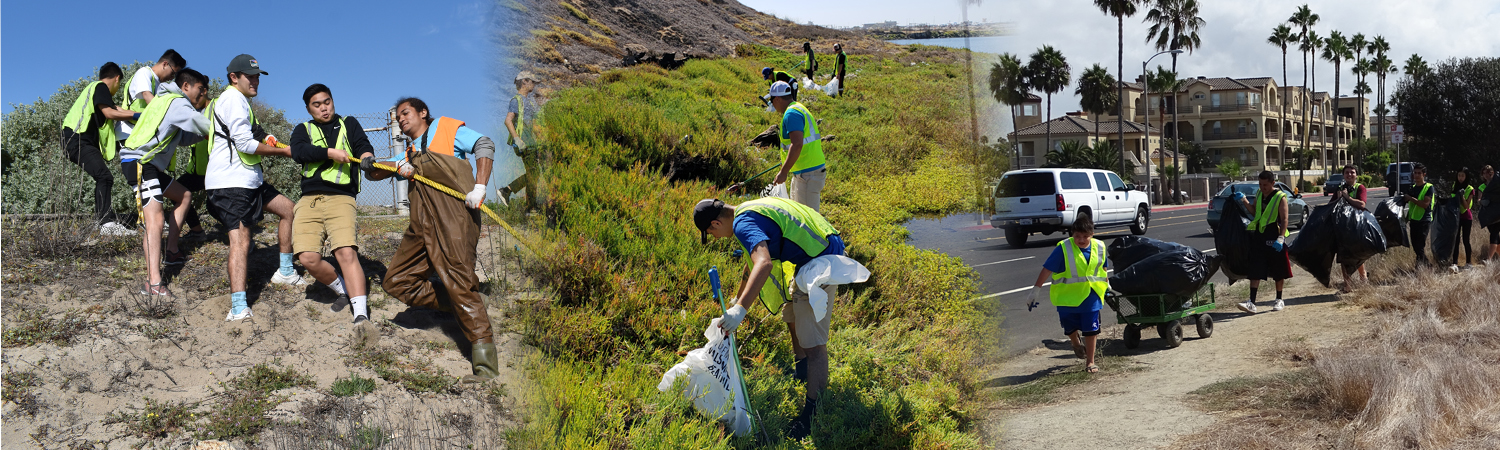 Bolsa Chica Ecological Reserve