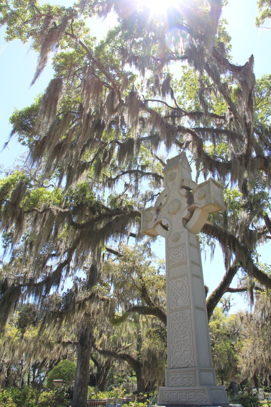 Bonaventure Cemetery