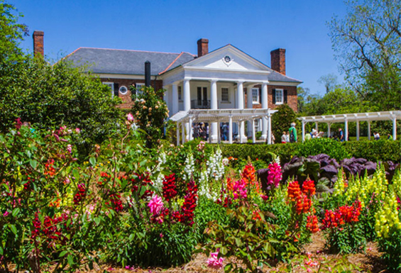 Boone Hall Plantation & Gardens