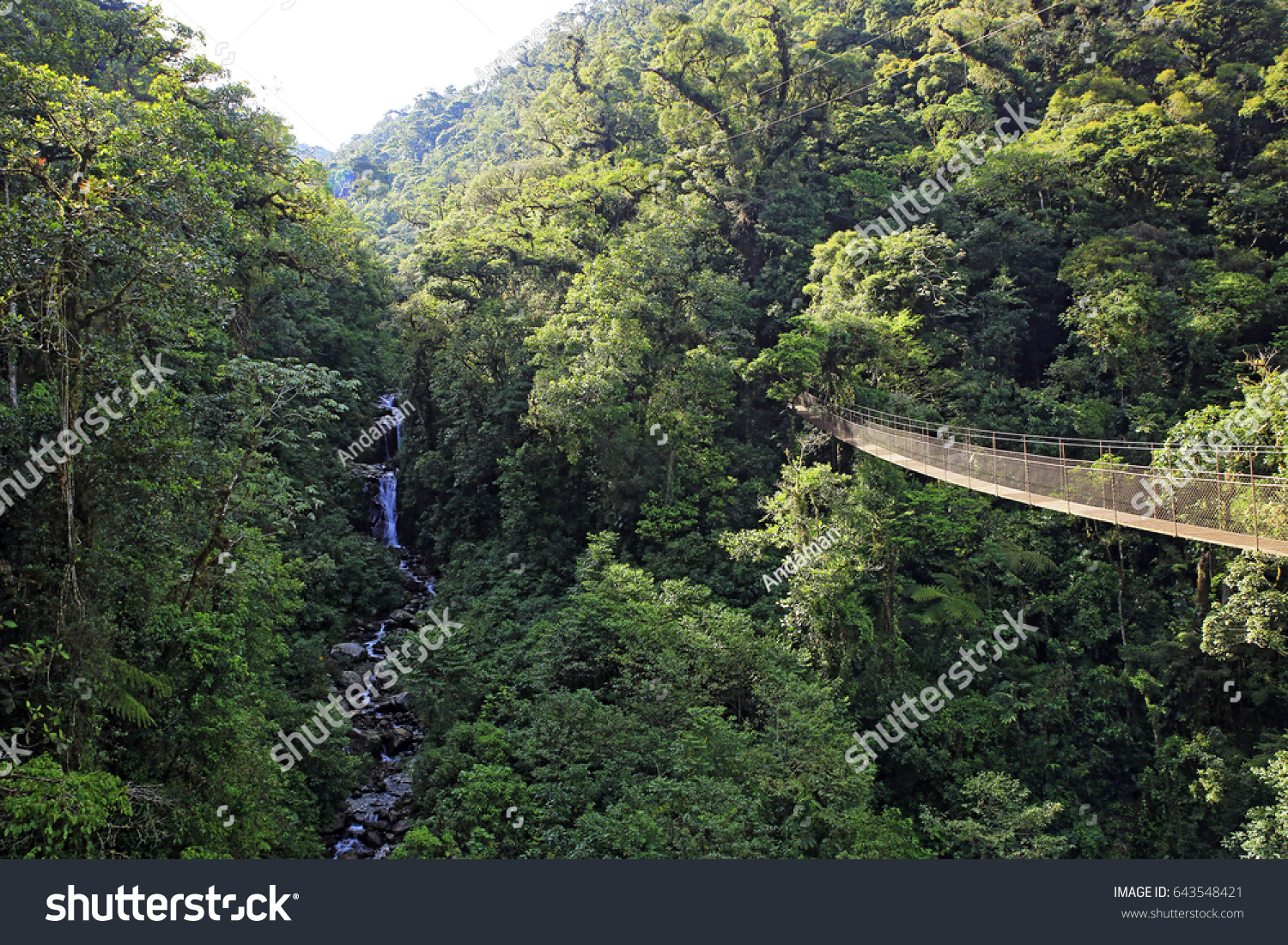 Boquete Tree Trek