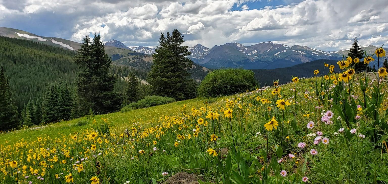 Boreas Pass Road