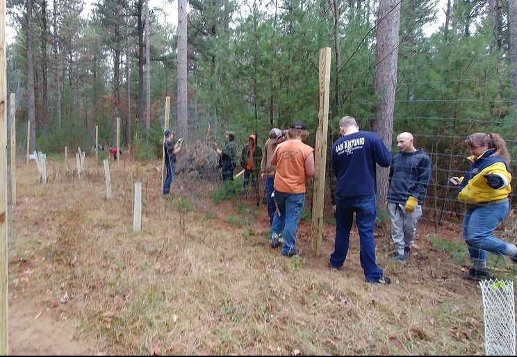 Boston School Forest