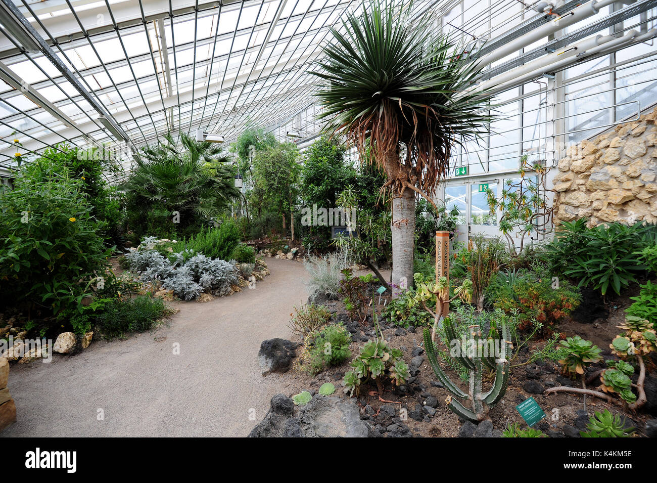 Botanical Garden and the Greenhouses