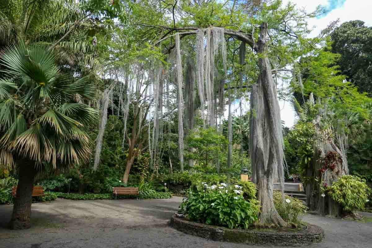 Botanical Gardens