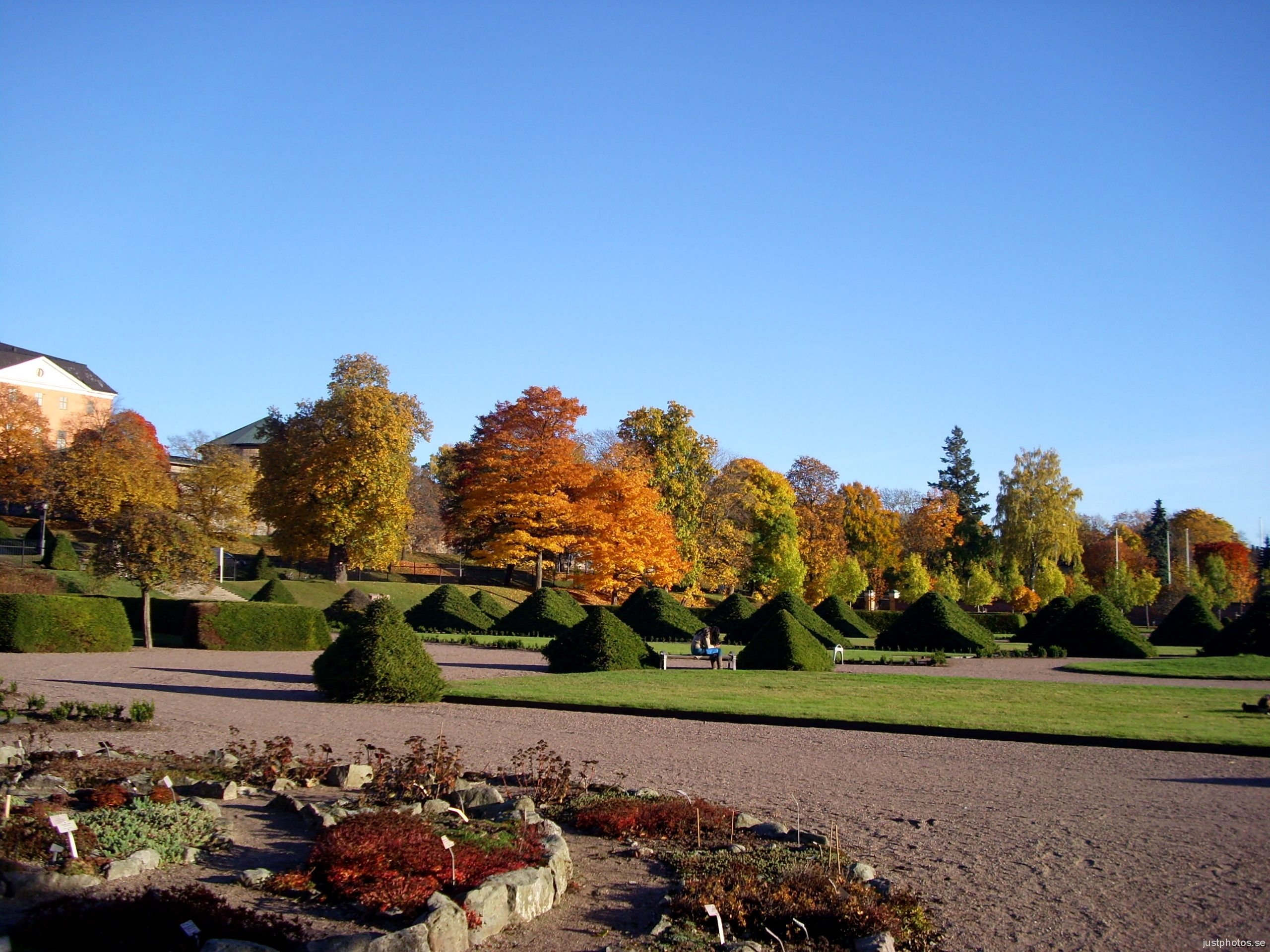 Botaniska Trädgården