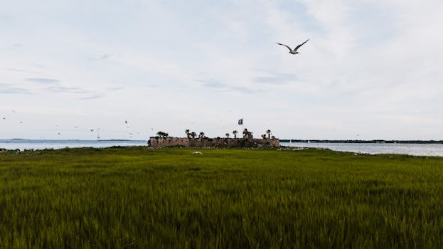 Botany Bay Plantation Heritage Preserve/Wildlife Management Area