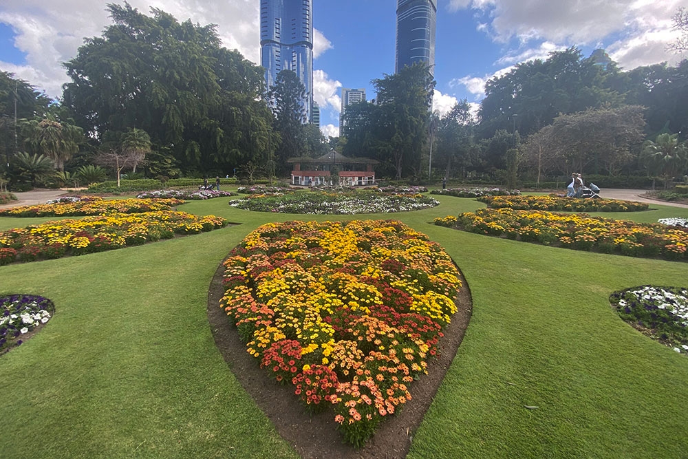 Brisbane Botanic Gardens