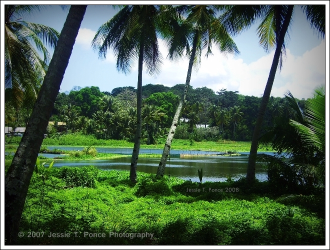 Buada Lagoon