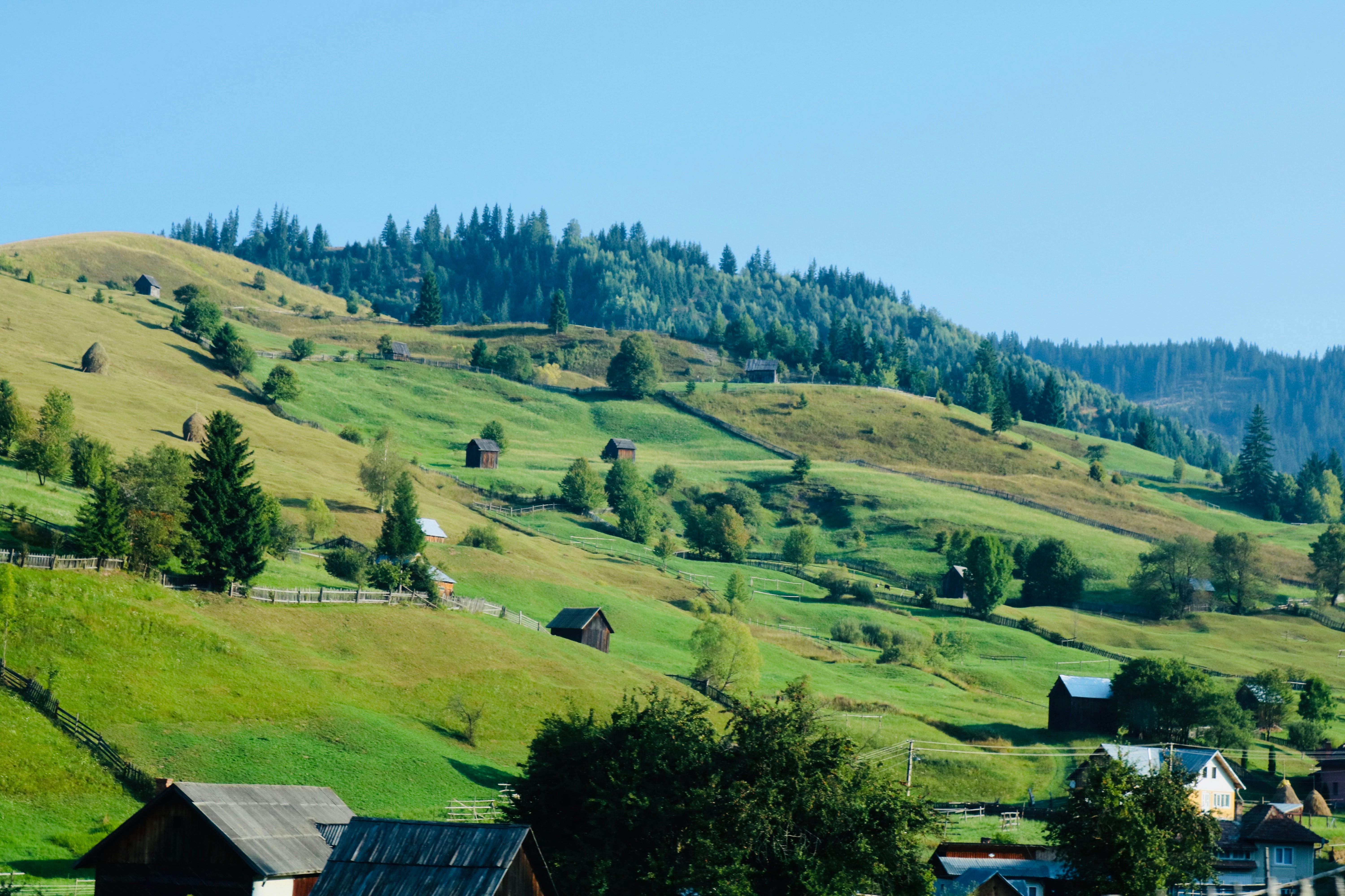 Bucovina Village Museum