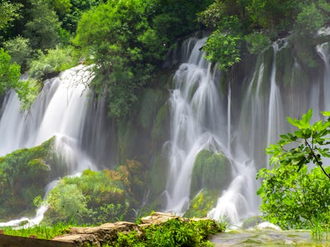 Buna River Spring