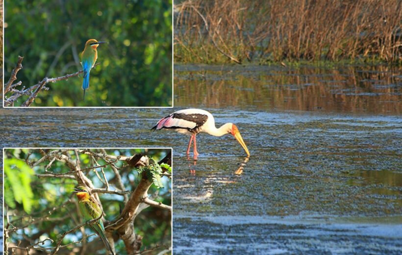 Bundala National Park