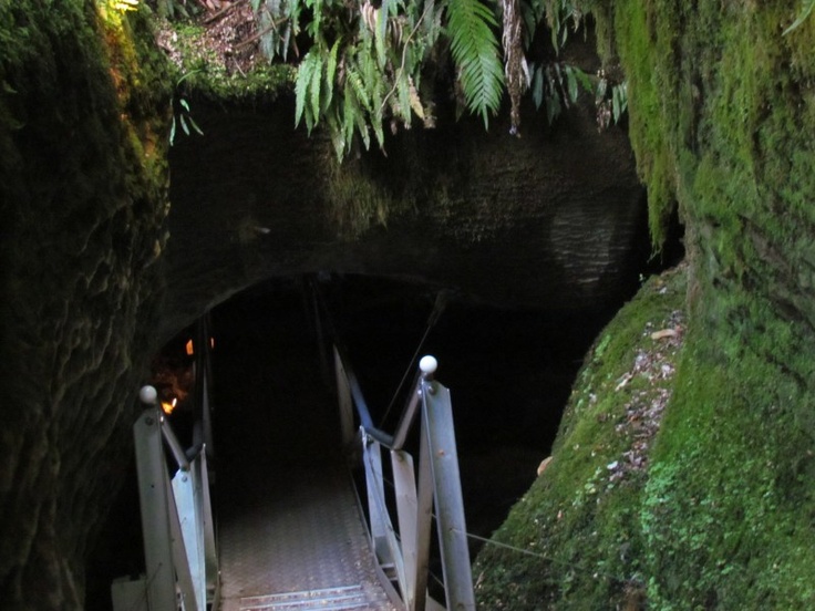 Bundanoon Glow Worm Glen