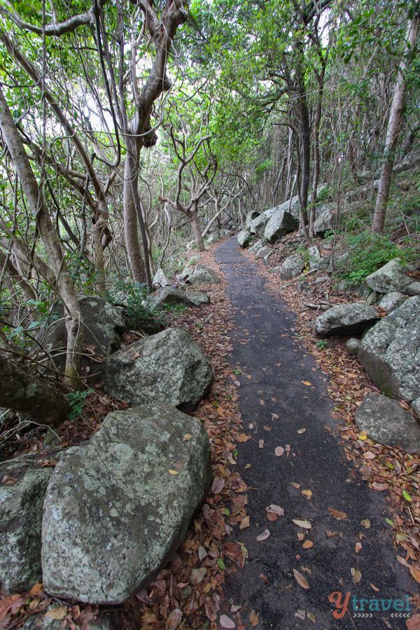 Burleigh Head National Park