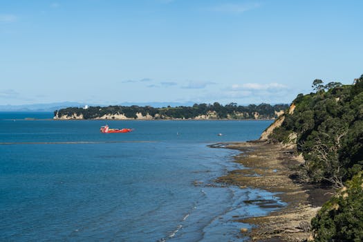 Cable Bay Adventure Park