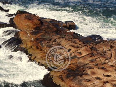 Cabo Polonio Lighthouse