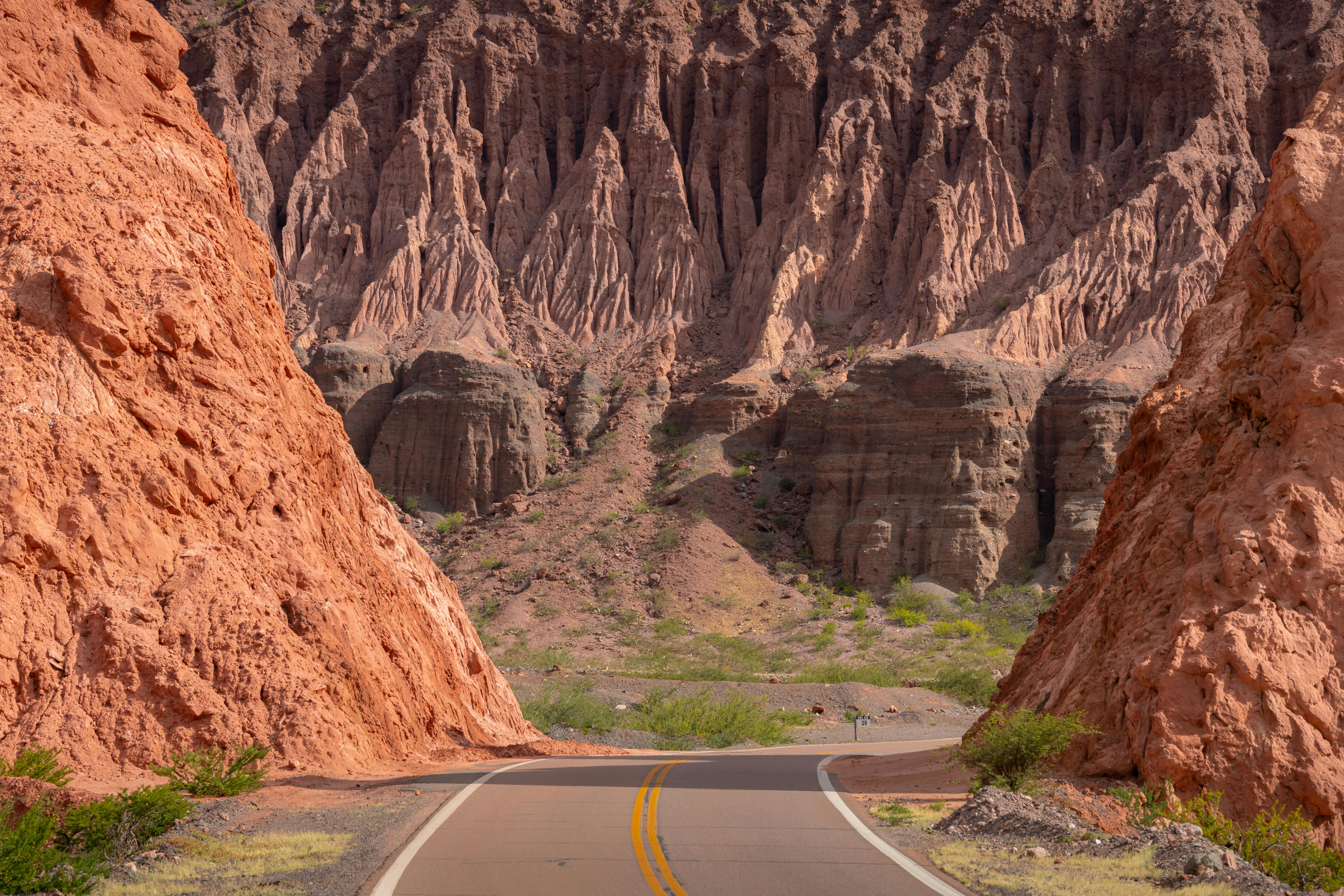 Cafayate Vineyards