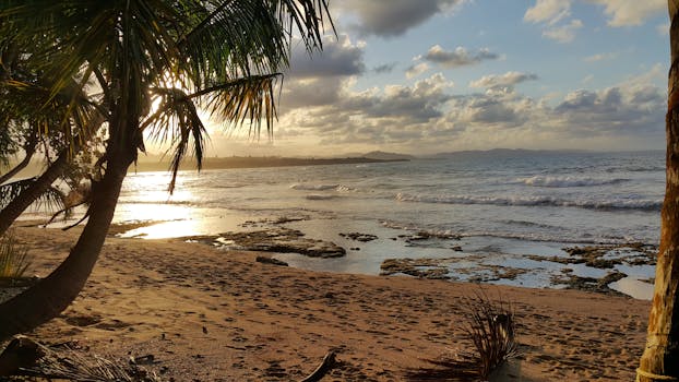 Cahuita National Park