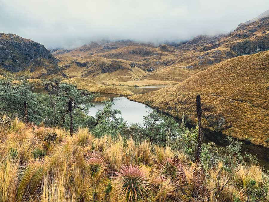 Cajas National Park