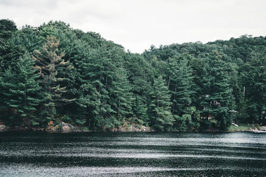 Calabogie Lake