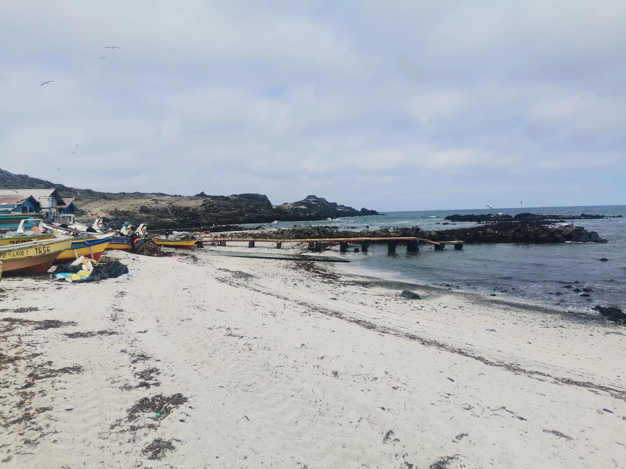 Caleta Punta de Choros