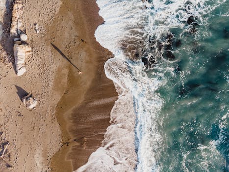 Cambria State Marine Park