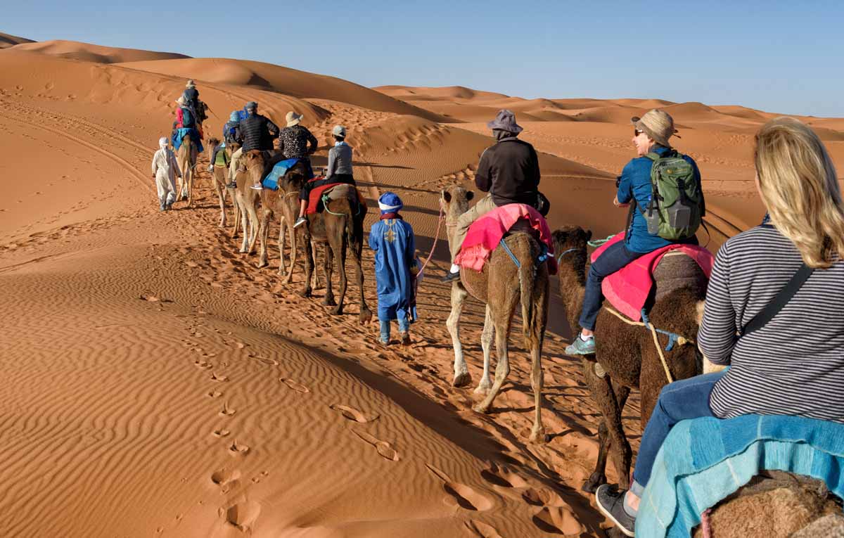 Camel Ride in the Sahara Desert