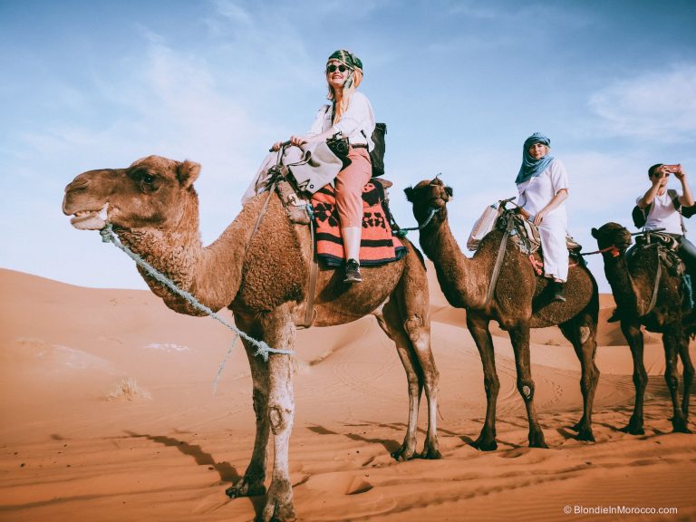 Camel Ride in the Sahara Desert