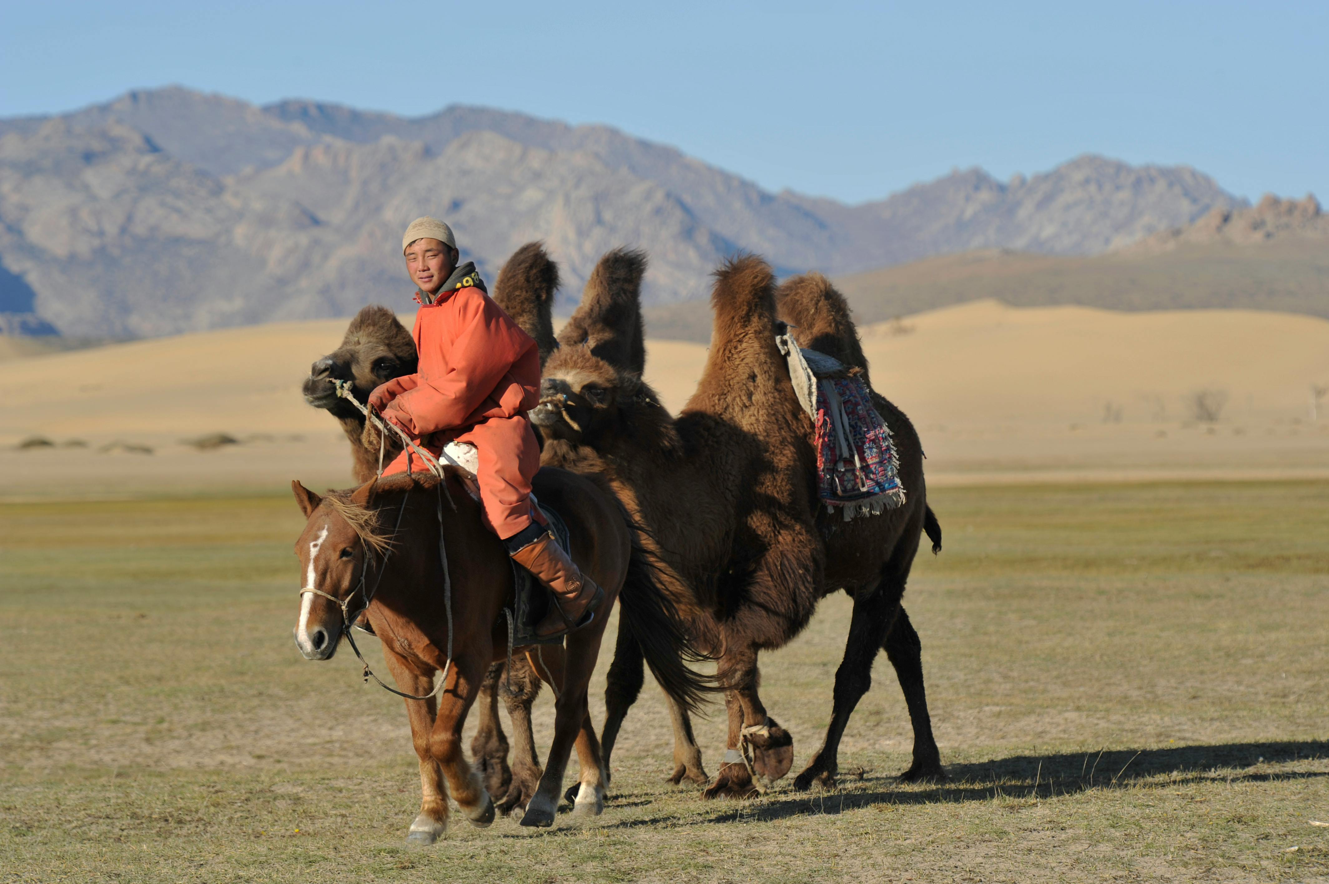 Camel riding in the desert