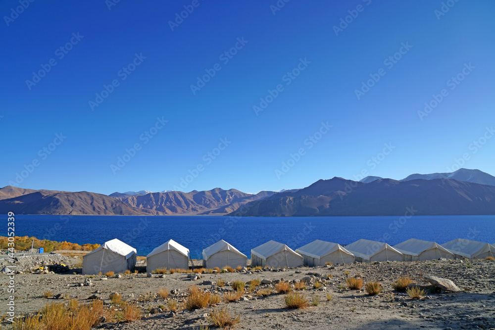 Camping near Pangong Tso