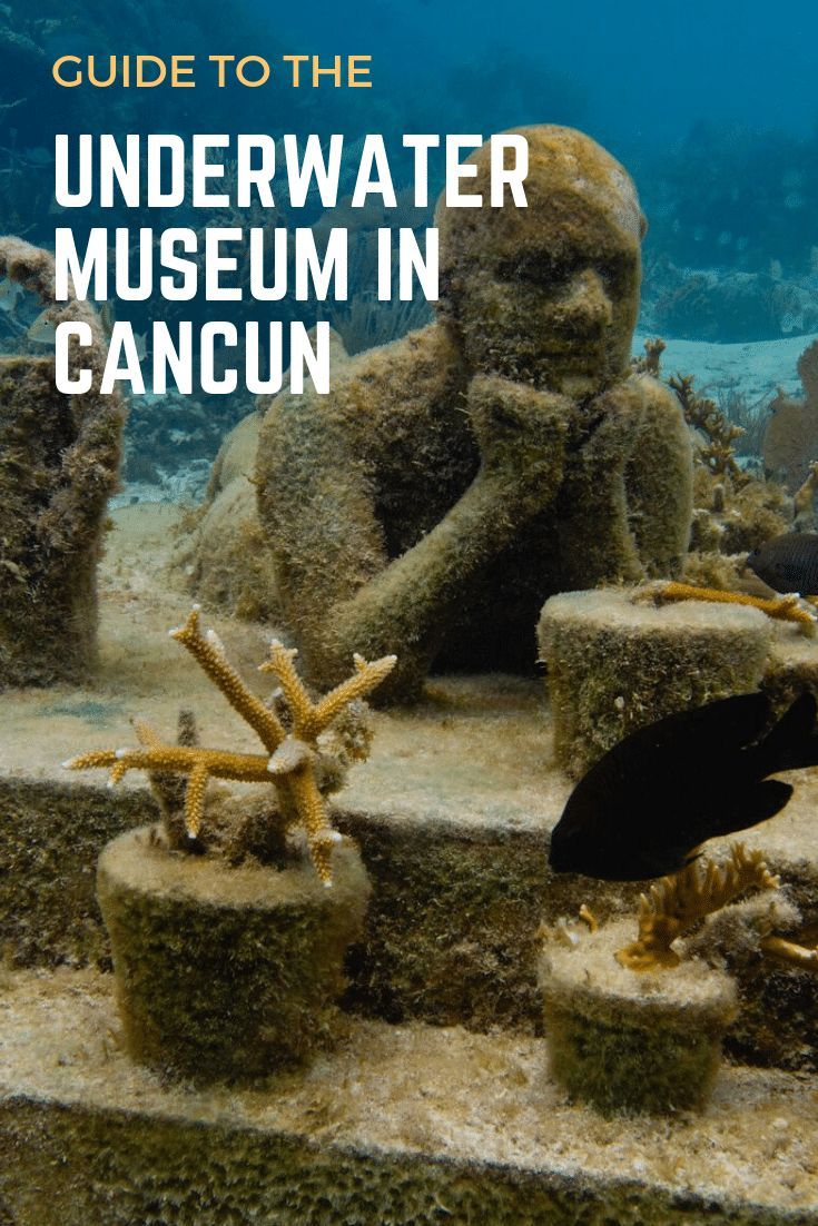 Cancun Underwater Museum (MUSA)