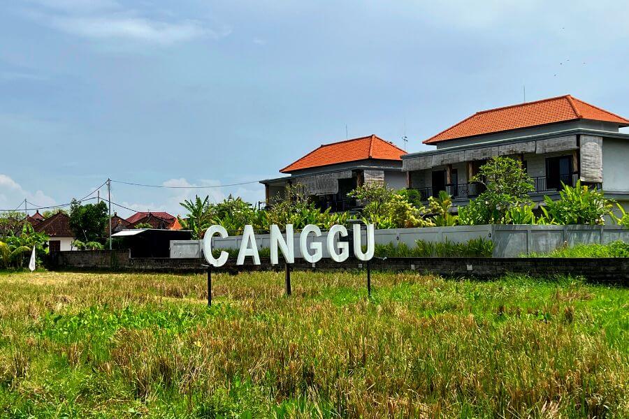 Canggu Rice Fields