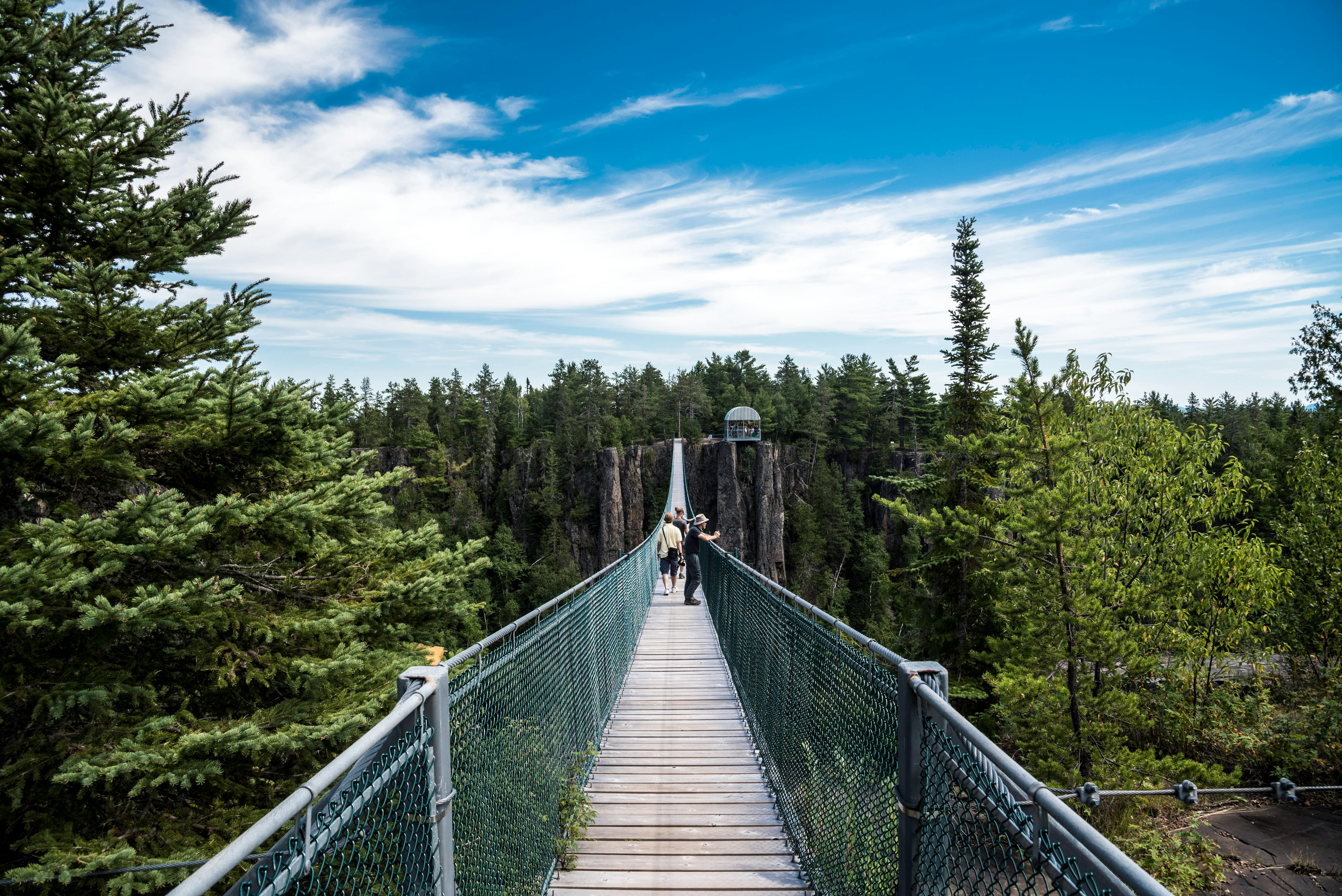 Canopy Walkway