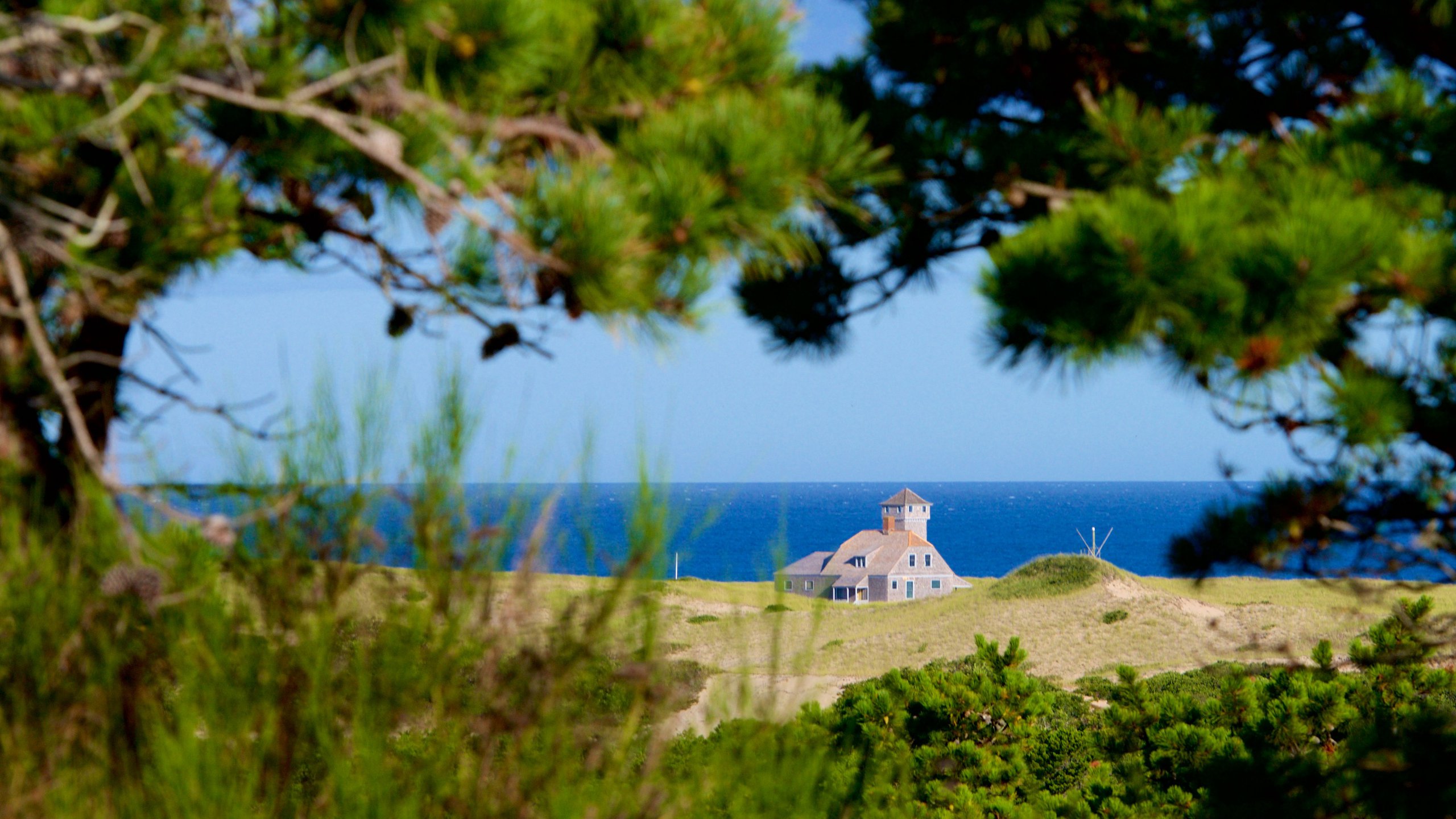 Cape Cod National Seashore